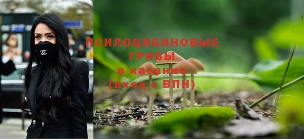spice Вязники